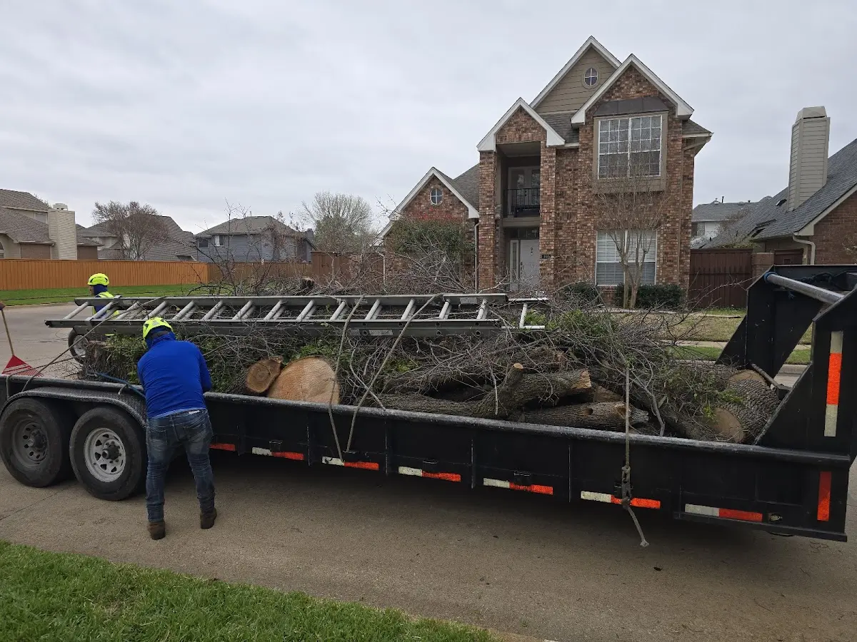 Expert Tree Pest Control with proper safety equipment in Winnebago